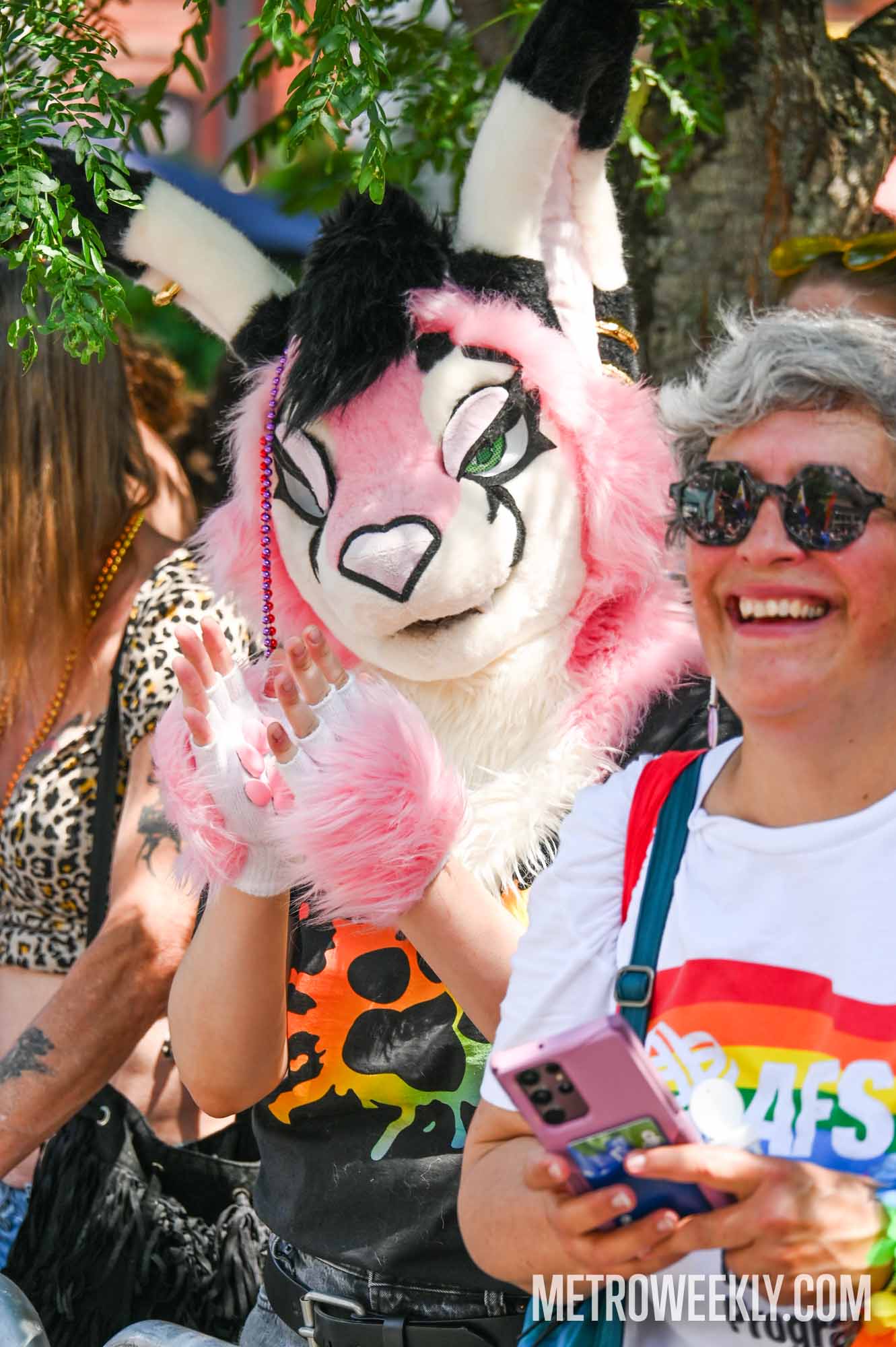 #8 of 58 : 2025-06-13_2999_177094.jpg