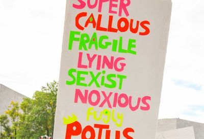 No Kings March, Washington D.C. #116